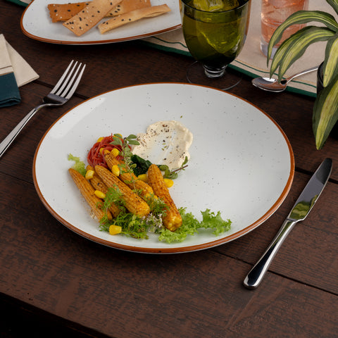 Ariane Vital Coupe 10 5/8" Terra Arena Porcelain Coupe Round Rimless Plate - 6/Case (AVCARN205011027)