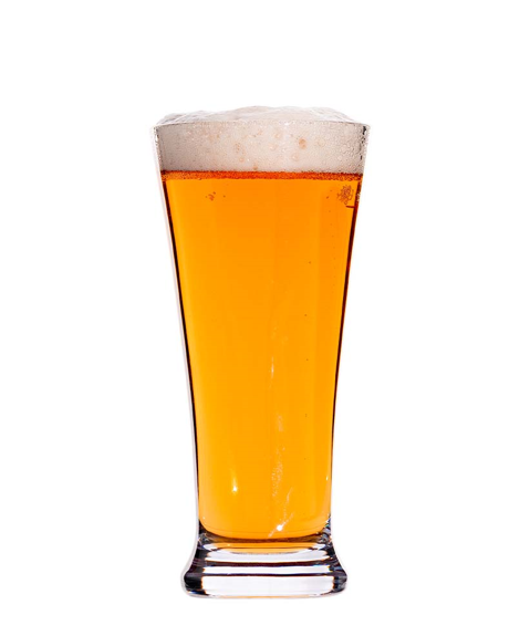 Hospitality Brands Bold Drinkware Titan Pilsner 1dz/cs (HUS084-012)