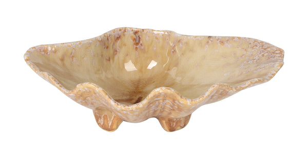Purasangre Momi Tray Concha Momi 7.87x5.91x2.36 in - P1505033