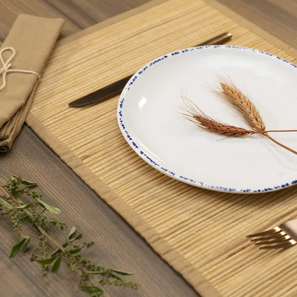 .Adrier Cobalt White With Blue Border Round plate - 26.4 cm Ø x 2 cm height (MORP26 - BLU) - iFoodservice Online