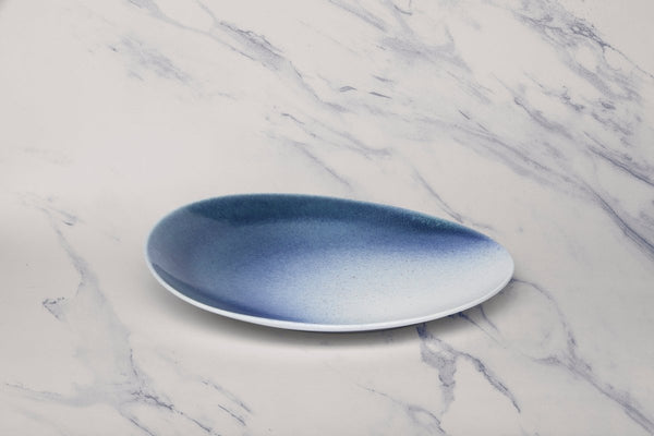 Ariane 10 5/8" Lir Porcelain Coupe Elevated Plate - 12/Case (AVCARND65111027) - iFoodservice Online