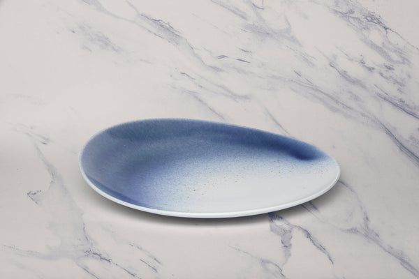 Ariane Vital Coupe 11 3/7" White Porcelain Coupe Elevated Plate - 6/Case (AVCARND65111029) - iFoodservice Online