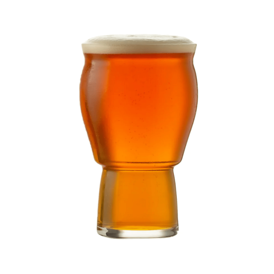 Hospitality Brands Revolution Grand 16 oz. Beer (Pack of 24) HGJ2808 - 024 - iFoodservice Online