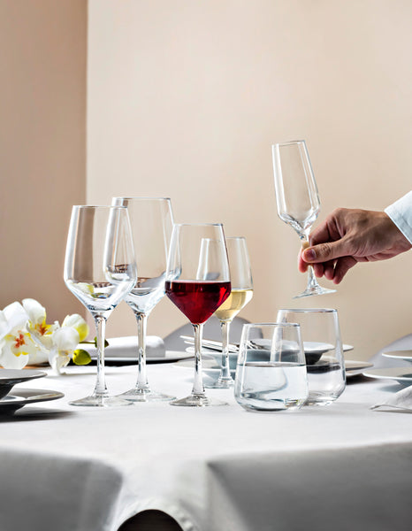 Hospitality Brands Mencia Tall Wine  Glass 15.5 oz. (Pack of 6) HGV0264-006