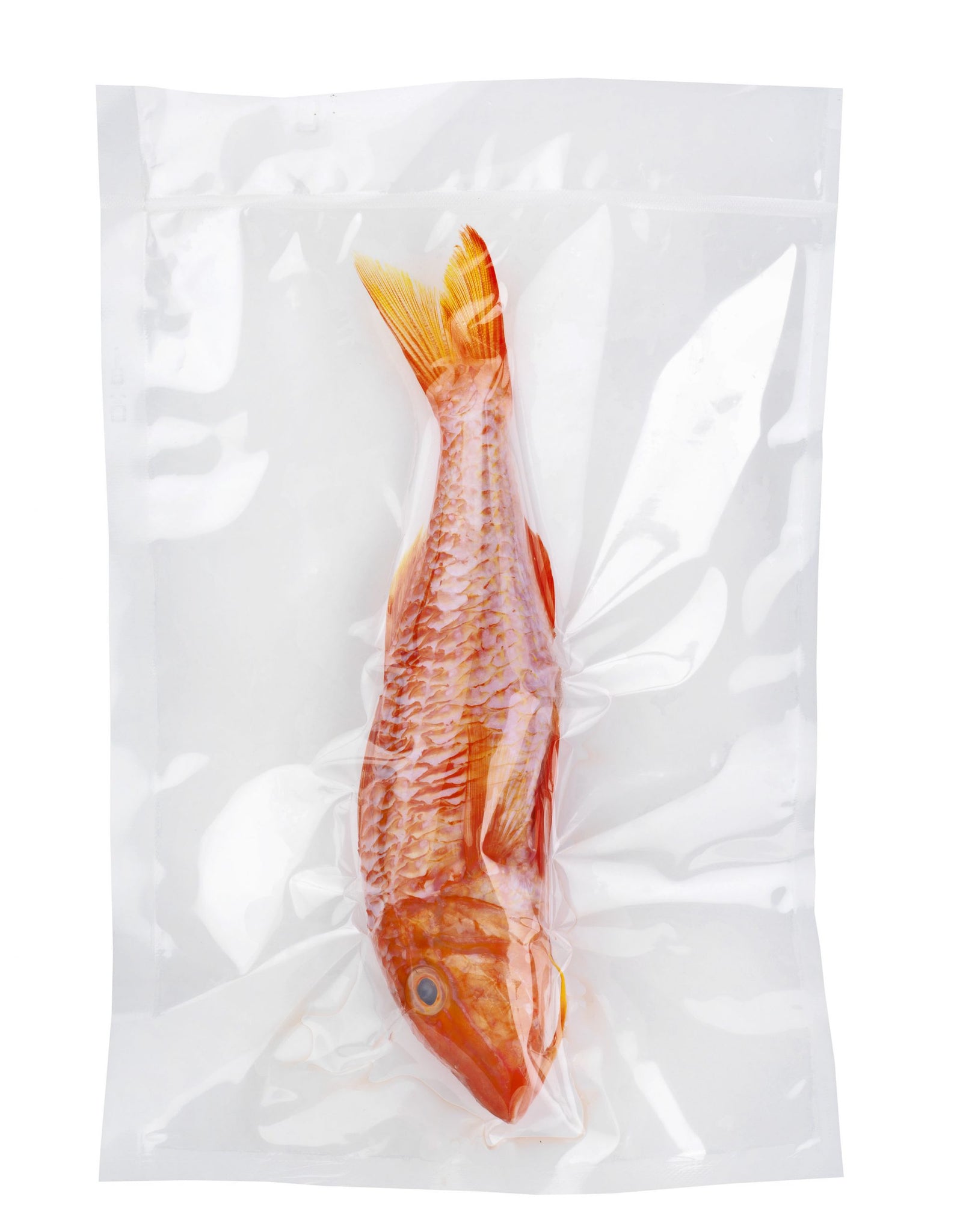Eurodib Atmovac CB100 Series Channeled Bags Freezing & Storing 6" x 12" (CB100-0612)