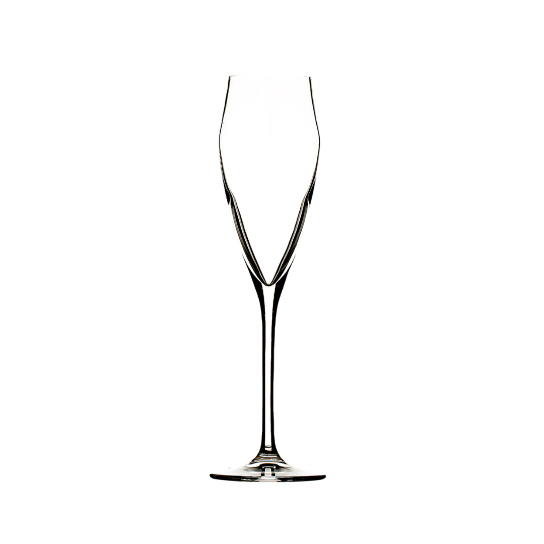 Hospitality Brands Ego 6 oz. Champagne Pack of 12 (HGR25492-012)