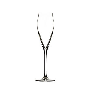 Hospitality Brands Ego 6 oz. Champagne (Pack of 12) HGR25492-012