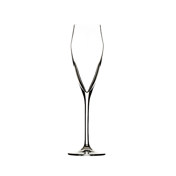 Hospitality Brands Ego 6 oz. Champagne Pack of 12 (HGR25492-012)