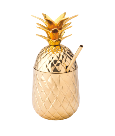 Hospitality Brands 20 oz. Hawaii Gold Pineapple HB92061-001