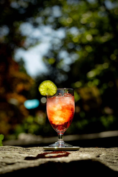 Hospitality Brands Bold Drinkware Revel 12oz All Purpose 1dz/cs HUS046 - 012 - iFoodservice Online