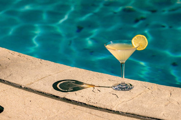 Hospitality Brands Bold Drinkware Revel Martini Glass 10 oz. 1dz/cs HUS055 - 012 - iFoodservice Online