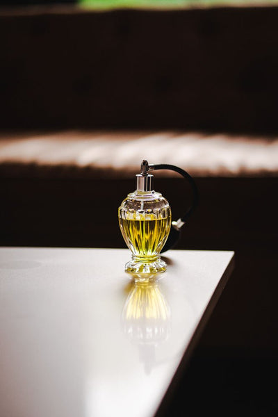 Hospitality Brands Eros Atomizer HGBDV100 - 001 - iFoodservice Online