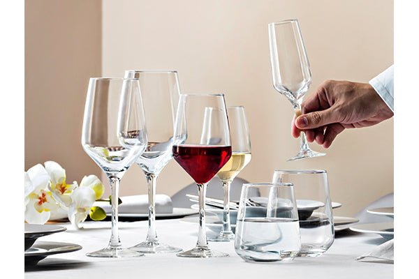 Hospitality Brands Mencia Tall Wine Glass 19.5oz. (Pack of 6) HGV0265 - 006 - iFoodservice Online