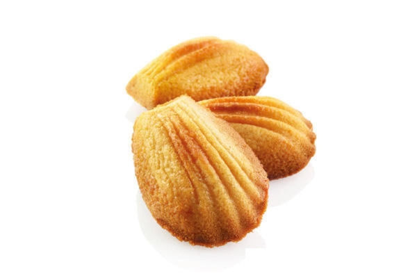 Louis Tellier Silikomart - Mini - Madeleine 60 X 40 Mold (SQ030) - iFoodservice Online