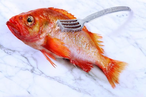 Matfer Bourgeat One Piece Fish Scaler (121100) - iFoodservice Online